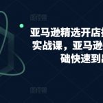 亚马逊精选开店指南，选品实战课，亚马逊如何从0基础快速到出单