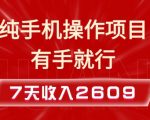 纯手机操作的小项目，有手就能做，7天收入2609+实操教程【揭秘】