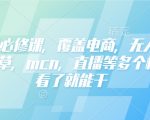 小红书必修课，覆盖电商，无人，获客，种草，mcn，直播等多个板块，看了就能干