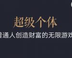 超级个体2024-2025翻盘指南，普通人创造财富的无限游戏