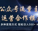 公众号流量主代运营  多种变现方式 轻松日入5张【揭秘】