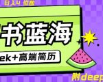 Deepseek+小红书简历蓝海赛道，24小时网盘自动发货，零成本，不限时间地点，日入四位数