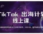 TikTok跨境电商新手起号与运营全攻略，0基础做跨境电商TIKTOK新手起号，小店入驻，操作指南全流程