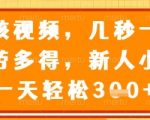 审核视频，几秒一单，多劳多得，新人小白一天轻松3张【揭秘】