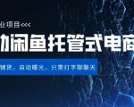 【闲鱼全自动电商带货】三年磨一剑，一朝露锋芒，长期稳定项目，单日稳定变现5张【揭秘】