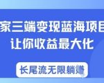 独家三端变现蓝海项目，让你收益最大化，长尾流无限躺挣