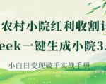 AI+农村小院红利收割：DeepSeek一键生成小院3.0爆款，小白日变现破千实战手册