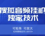 【搜狐音频挂G】独家技术，可矩阵可放大，红利期稳定月入8k【揭秘】