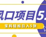 新风口项目5.0版！即梦AI做爆款萌娃说话视频，单日涨粉2W+，新手宝妈轻松日入5张
