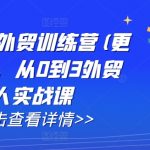 AI闪电做外贸训练营(更新25年4月)，从0到3外贸万人实战课