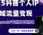 2025个人IP短视频带货(进阶版)全域流量变现，deepseek千川爆单进阶课