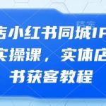 实体店小红书同城IP深度陪跑实操课，实体店小红书获客教程