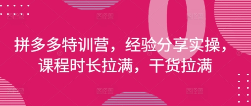 拼多多特训营，经验分享[/erphpdown]实操，课程时长拉满，干货拉满(更新25年4月)