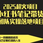 2025超火项目，副业最佳选择，小红书笔记带货团队实操落地项目，，轻松日入5张