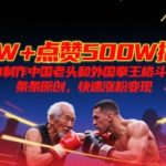 10W+点赞500W播放，用AI制作中国老头和外国拳王格斗视频，条条原创，快速涨粉变现