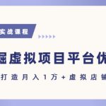 抓住虚拟项目各平台优势，新手轻松月入1W+(给出具体建议)