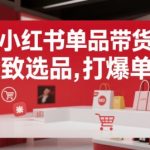 小红书单品带货，极致选品，打爆单品（更新）