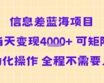 信息差蓝海项目当天变现多张 可矩阵自动化操作 全程不需要人工