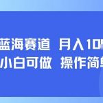 小众蓝海赛道，小白可做，操作简单，每天30分钟，月入1W+