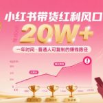一年时间靠小红书带货项目年入20w+，最不能错的大红利项目