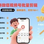 8月最新微信视频号批量剪辑操作方法及变现流程，简单操作，月入1w+