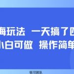 小众蓝海玩法 一天搞了四位数 小白可做 操作简单