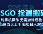 8月最新游戏搬砖,CSGO纯挂G,不需要玩游戏,实现真挂G,月入1W+【揭秘】 8月最新游戏搬砖,CSGO纯挂G,不需要玩游戏,实现真挂G,月入1W+【揭秘】