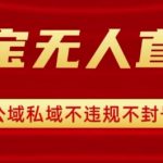 淘宝无人直播带货最新技术，不封号，不违规 操作简单，开播爆单，日入1k+【揭秘】