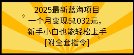 2025最新蓝海项目一个月变现1w+新手小白也能轻松上手【附全套指令】