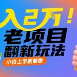 月入2W！老项目翻新玩法，小白上手就能做，非常容易上手