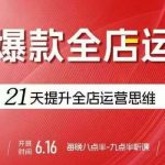 贾真电商群爆款全店运营，21天提升全店运营思维，起店、全店运营爆款不断