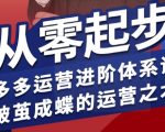 拼多多运营进阶系统课,从零起步,多多运营进阶体系课,破茧成蝶的运营之术(更新9月) 拼多多运营进阶系统课,从零起步,多多运营进阶体系课,破茧成蝶的运营之术(更新9月)