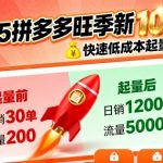 2025拼多多旺季新老店铺——快速低成本起量破千单