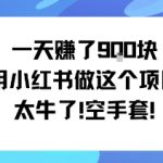 一天挣了9张用小红书做这个项目太牛了，空手套