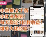 小说推文干货之小红书多图每天稳定3位数收益爆单大佬经验分享 小说推文干货之小红书多图每天稳定3位数收益爆单大佬经验分享