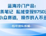 蓝海项目:16条笔记私域变现9750米小众赛道操作的人不多 蓝海项目:16条笔记私域变现9750米小众赛道操作的人不多