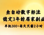 全自动数字标注,稳定3年的蓝海项目,居家也能矩阵开干的副业,单机日入3张+【揭秘】 全自动数字标注,稳定3年的蓝海项目,居家也能矩阵开干的副业,单机日入3张+【揭秘】