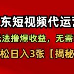 京东短视频带货,新玩法撸爆收益,无需剪辑,无需选品,轻松日入3张【揭秘】 京东短视频带货,新玩法撸爆收益,无需剪辑,无需选品,轻松日入3张【揭秘】