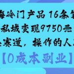蓝海冷门产品:16条笔记私域变现9750米小众赛道,操作的人不多 蓝海冷门产品:16条笔记私域变现9750米小众赛道,操作的人不多