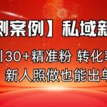 【实测案例】私域新玩法,日引30+精准粉,转化率50%,新人照做也能出单! 【实测案例】私域新玩法,日引30+精准粉,转化率50%,新人照做也能出单!
