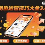 闲鱼运营技巧大全3.0，引爆店铺流量，手把手教你玩转二手电商平台