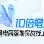 跨境电商10倍增效,跨境电商AI落地实战线上课 跨境电商10倍增效,跨境电商AI落地实战线上课