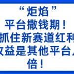 “炬焰”:平台撒钱期!抓住新赛道红利,5分钟二创内容,收益是其他平台几倍! “炬焰”:平台撒钱期!抓住新赛道红利,5分钟二创内容,收益是其他平台几倍!
