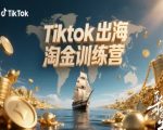 Tiktok出海淘金训练营,跨境电商TK实战变现 Tiktok出海淘金训练营,跨境电商TK实战变现