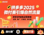 拼多多2025微付费引爆自然流量,拼多多电商运营教程,运营、推广、打爆品、微付费(更新) 拼多多2025微付费引爆自然流量,拼多多电商运营教程,运营、推广、打爆品、微付费(更新)