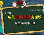 麦子甜咸鱼自助卖货实操版(虚拟资源)一个会自动搞钱的机器 麦子甜咸鱼自助卖货实操版(虚拟资源)一个会自动搞钱的机器