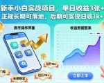 新手小白实战项目,单日收益3张+,正规长期可落地,后期可实现日收1k+【揭秘】 新手小白实战项目,单日收益3张+,正规长期可落地,后期可实现日收1k+【揭秘】