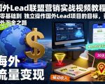 国外Lead联盟营销实战视频教程,从零基础到独立操作国外Lead项目的目标,开启海外淘金之路 国外Lead联盟营销实战视频教程,从零基础到独立操作国外Lead项目的目标,开启海外淘金之路