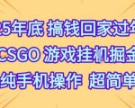 25年底搞钱回家过年,CSGO游戏挂G掘金,纯手机操作超简单【揭秘】 25年底搞钱回家过年,CSGO游戏挂G掘金,纯手机操作超简单【揭秘】