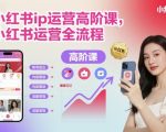 小红书ip运营高阶课,小红书运营全流程 小红书ip运营高阶课,小红书运营全流程
